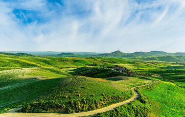 green flowering spring hills in countryside valley with rustic village road among blossoming grasslands leading far away to a sunset landscape in summer season