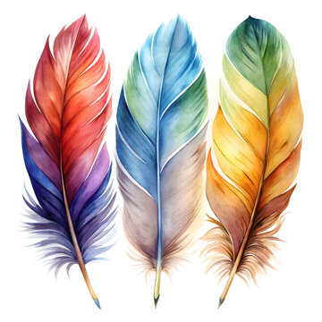 watercolor fether realistic set vector isolated
