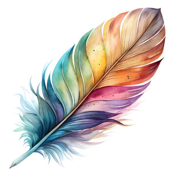 watercolor fether realistic set vector isolated