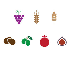 Jewish Seven Species colorful elements