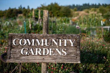 Close up of a wooden rustic community garden sign with shallow depth of field and garden behind.