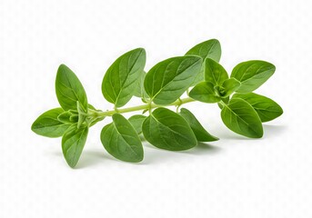 Obraz premium 緑のささやき (Midori no sasayaki)