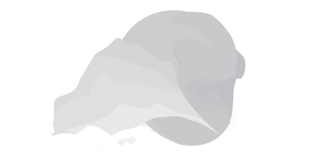 Abstract light gray brush stroke with soft flowing layers and a smooth organic shape.