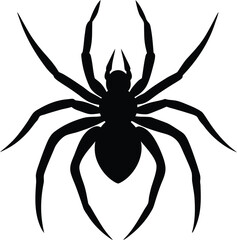 Spider Silhouette