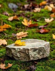 Yellow Maple Leaf on a Stone Against a Mossy Forest Floor with Fallen Leaves in Autumn Season