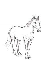 Fototapeta premium Line Art Illustration of a White Horse