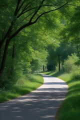 Obraz premium Serene Path Through Lush Green Trees