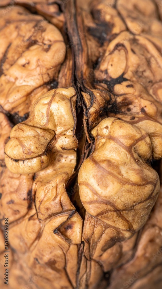 Poster detailed macro photograph of a cracked walnut with brown shell and intricate texture