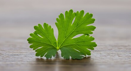 緑のささやき