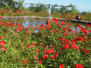 North of the island in Sao Jorge