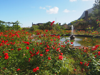 North of the island in Sao Jorge