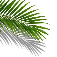 Obraz premium 光のささやき