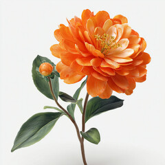 Pomarańczowy Kwiat