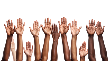 Many hands raised in the air, diverse skin tones