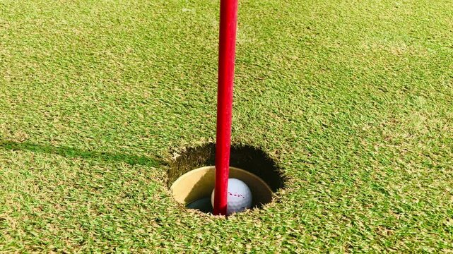 Close-up golf ball rolling smoothly on green grass into the hole &mdash; perfect slow-motion stock video for sports, success, or precision themes