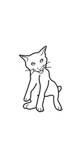 cat funny illustration