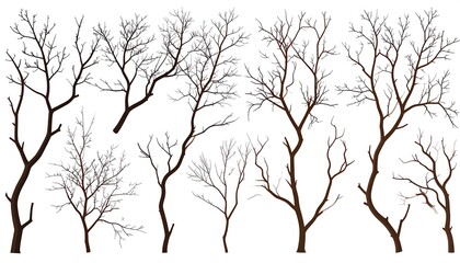 Obraz premium Collection of bare, winter trees against white