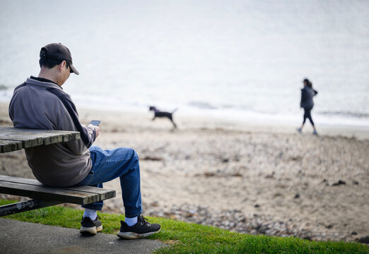 Man reading his phone on the picnic bench by the beach. Unrecognizable people walking the dog on the beach. Auckland. - Powered by Adobe
