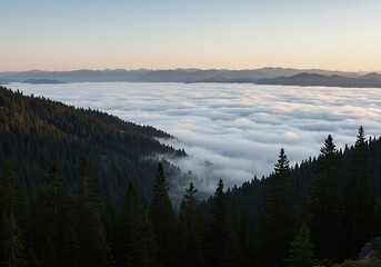 Obraz premium Embark on an unforgettable mountain travel journey, witnessing the tranquil beauty of an evergreen forest valley blanketed by a mystical sea of clouds at dawn