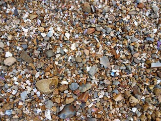 Beach Pebbles on the Shoreline. Smooth colorful pebbles on sandy beach near gentle sea waves, natural coastal texture.