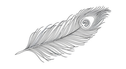 Elegant peacock feather illustration in monochrome, minimalistic design creating an elegant visual