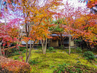 【神奈川県】鎌倉市・一条恵観山荘