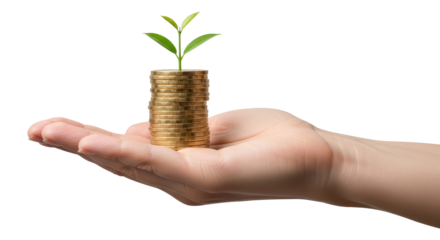 Investment Returns And Economic Progress Isolated on Transparent PNG Background.