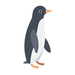 Adorable Antarctic Penguin Standing Upright | Simple Cute Cartoon Vector Illustration