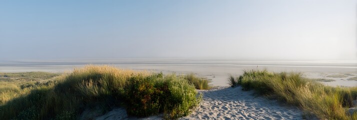Sandy Path to the Beach