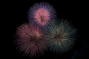 Fireworks Display in the Dark Night Sky