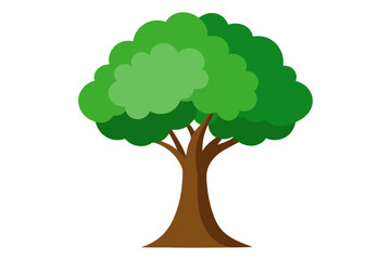 green tree isolated on white