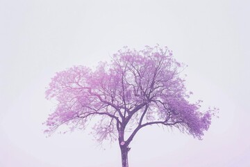 Obraz premium tree with pink flowers