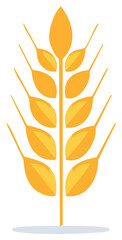 Golden wheat stalk simple vector illustration for agriculture or food production