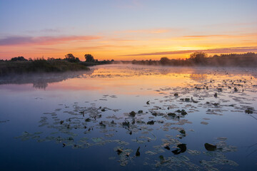 sunrise over the lake with lillyes