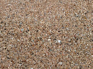 Sand and gravel texture background with small stones and shells. Close up natural sand gravel background with pebbles and shell fragments.