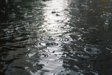 rain in the city, the flow of water along the city street during a downpour, bubbles, drops and splashes during rain