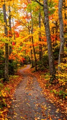 Fototapeta premium Autumn path through colorful forest