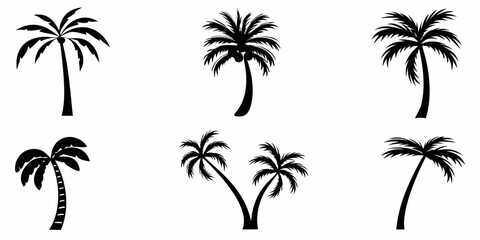 Collection of six black silhouette palm tree icons on a white background