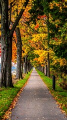 Fototapeta premium Autumn path through colorful trees