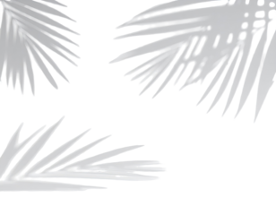 Abstract grayscale illustration of palm fronds