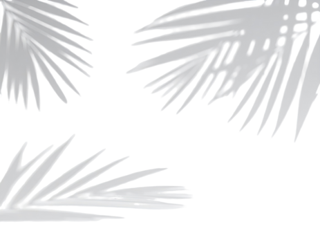 Abstract grayscale illustration of palm fronds