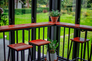 Close-up of natural background of various trees on high mountains and mist spreading throughout the...
