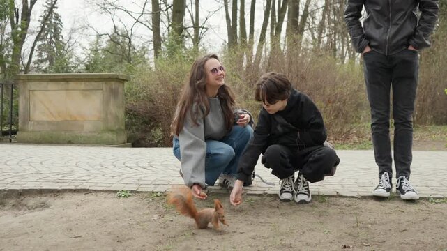 A woman and a boy are feeding a wild red squirrel from their hands in a public park. A fun family activity and an amusing experience of interacting with urban wildlife on a weekend.