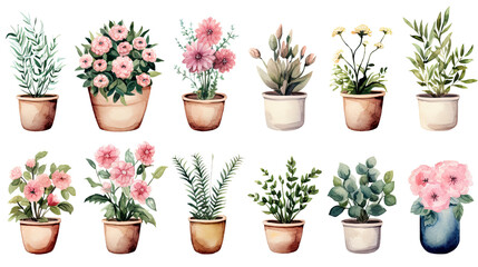 Title: Set of Watercolor Vintage Flower Pot Bouquet Stickers Isolated on White Background