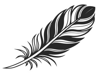 Obraz premium feather isolated on white