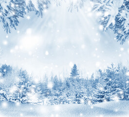 winter. landscape with snow covered fir trees and snowdrifts. Merry Christmas and happy New Year greeting.