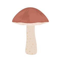 Birch bolete mushroom. Boletus edible mushroom in cartoon style isolated on white background. Autumn forest bolete mushroom. Fall plant food colored flat vector illustration
