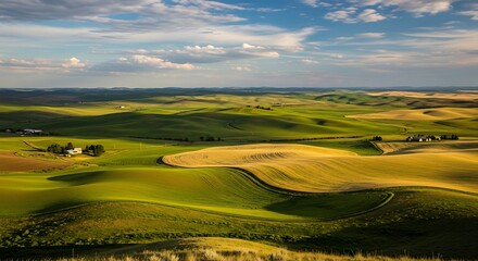 Golden Wheat Fields Rolling Hills Under a Dramatic Sky.