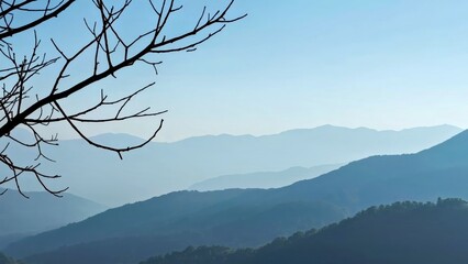 Hill station Pathiri Mount scenery Mountain range nature based Wellness retreat EcoVadis Tropical and subtropical coniferous forests Sujeonggwa Yuanyang Huangshan maofeng Forest degradation Climate c