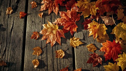 Autumn Sweet gum Deciduous Maple leaf Thumbnail Squarespace designer PNGtree Wood flooring Image Test Season heic empathetic Dezgo Falling Ground Floor Esg fintech Self compassion Tunetank Laminate s